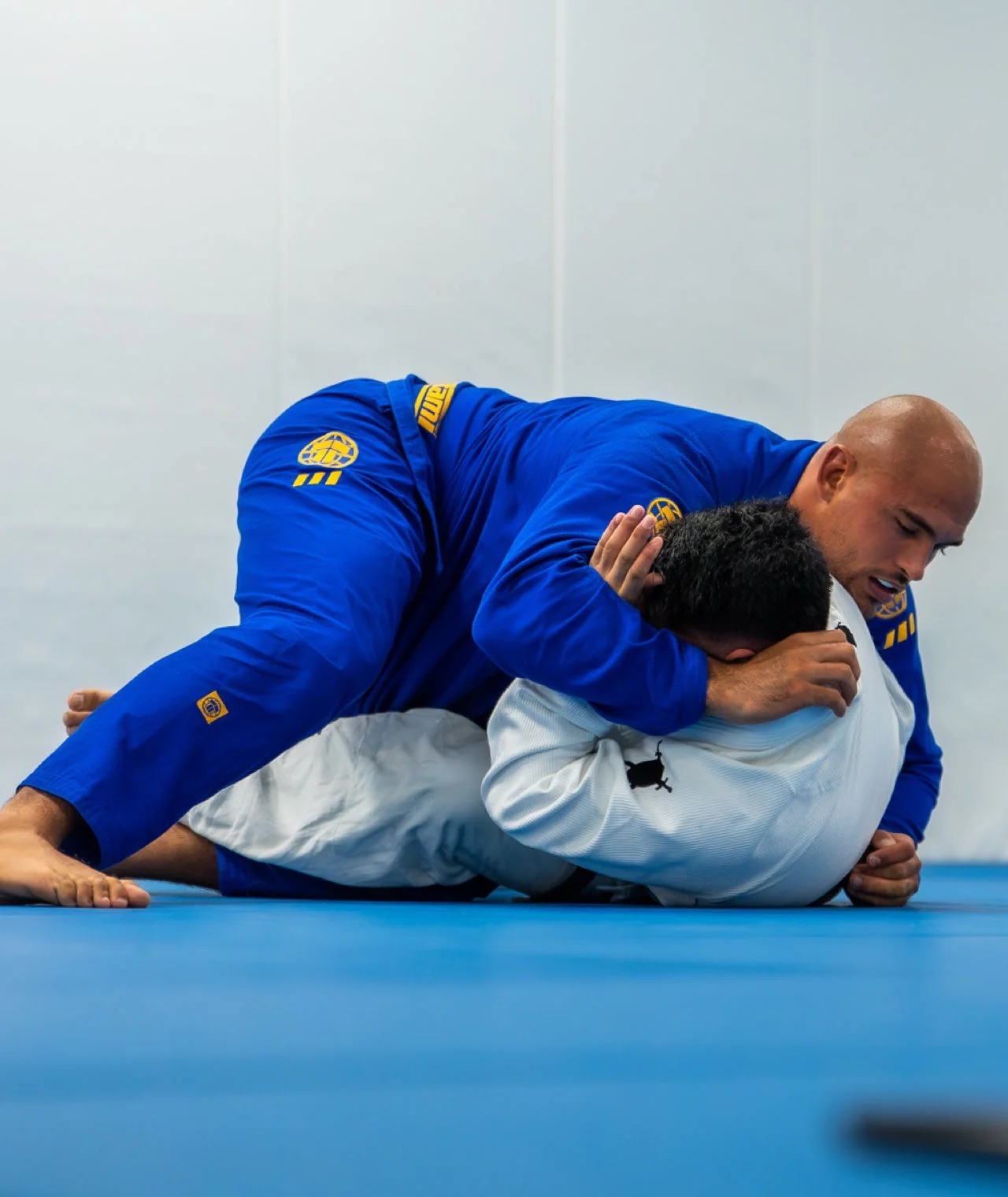 Pro Series Gi - Blue & Champion Gold - Image 7