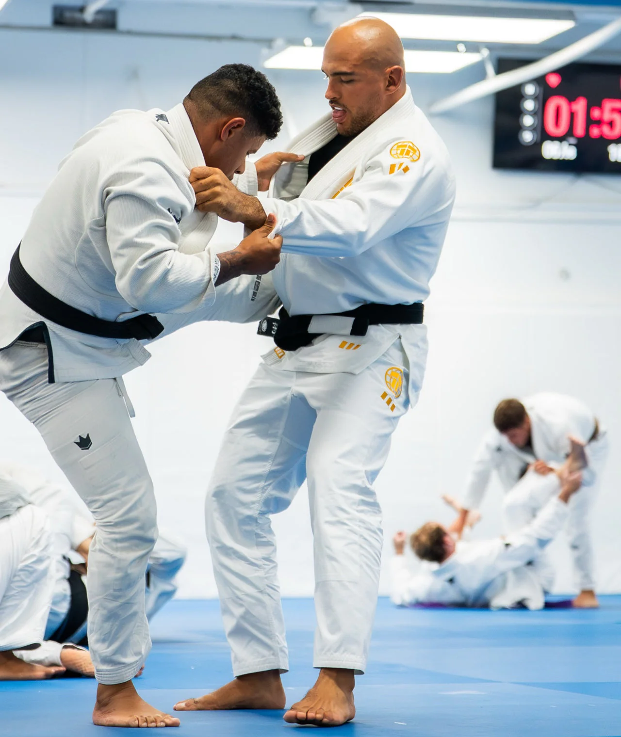 Pro Series Gi - White & Champion Gold - Image 8